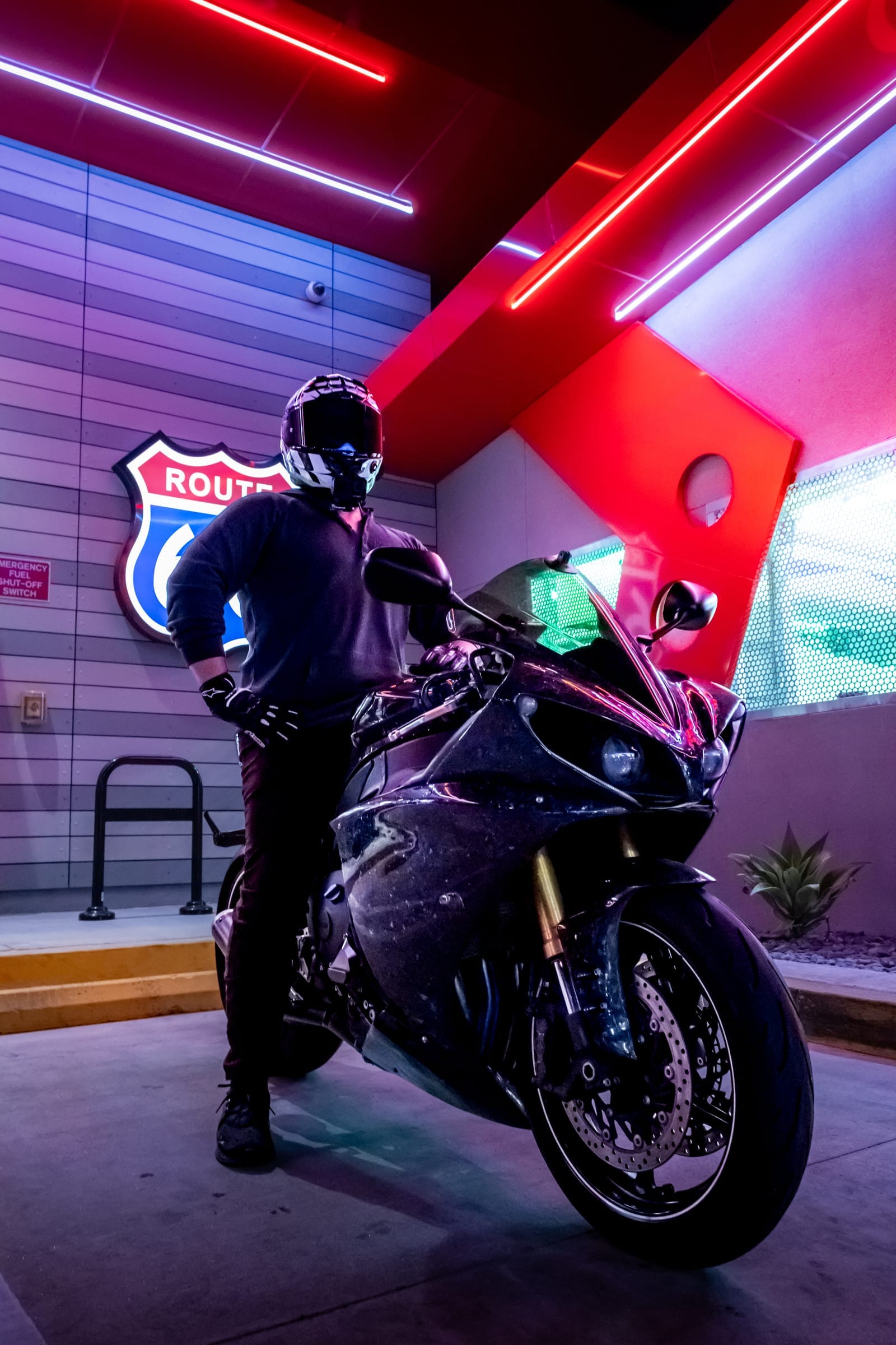 Bunny on a Yamaha R1 under neon